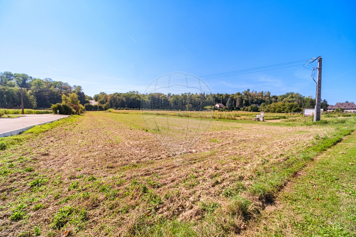 Terrain à vendre - Blotzheim